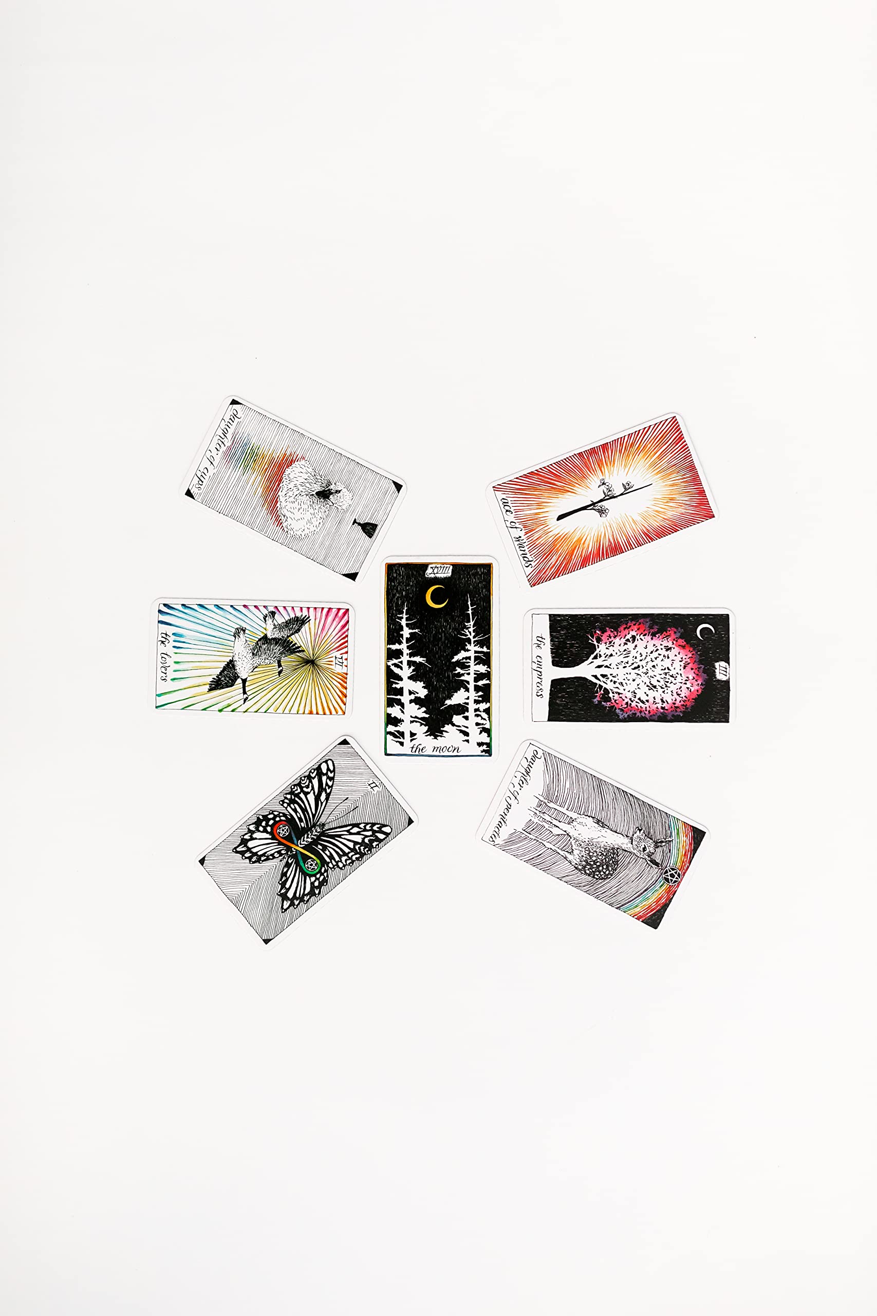 The Wild Unknown Pocket Tarot - DIGS