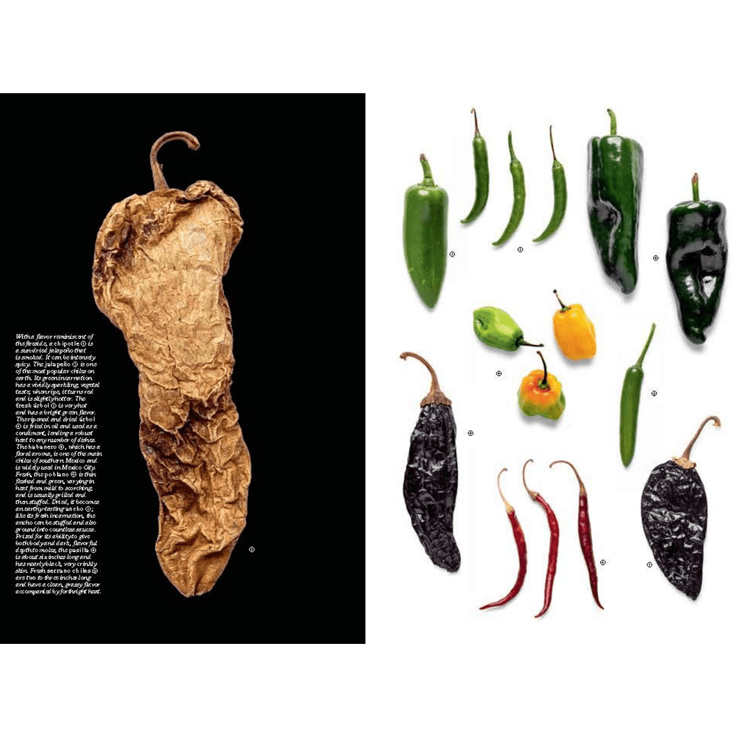 World Food: Mexico City - DIGS