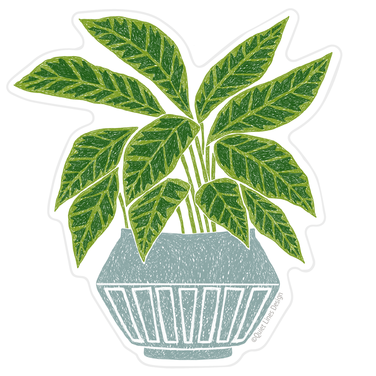 Zebra Plant Sticker - DIGS