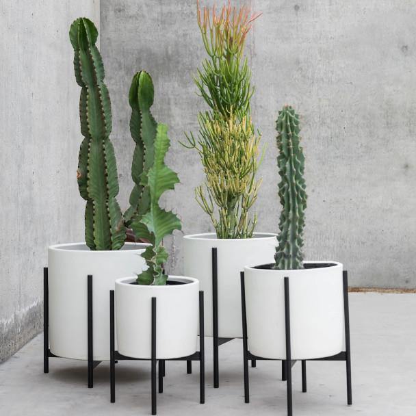 Modern plant accessories at DIGS in Seattle