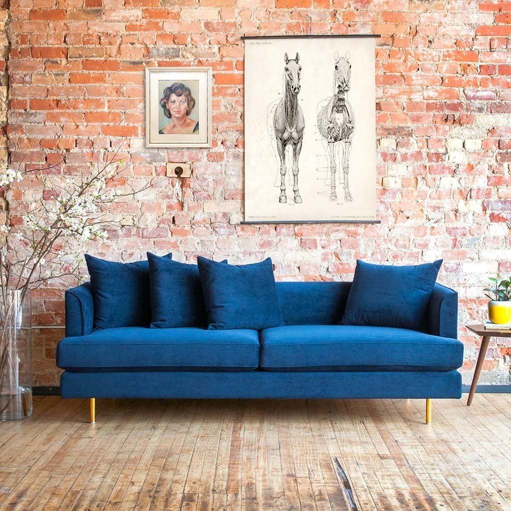 Modern sofas and sleepers at DIGS in Seattle
