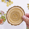 Tree Ring Sticker