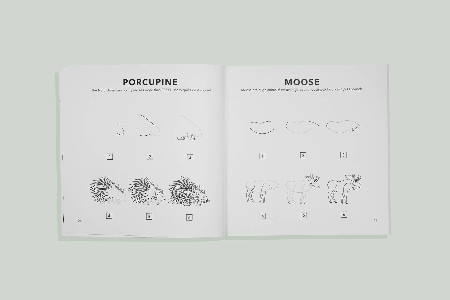 How to Draw Mushrooms & Woodland Creatures for Kids