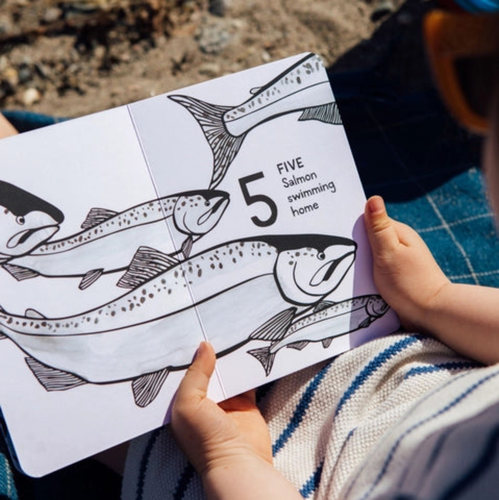 1,2,3 Salish Sea: A Counting Book for Toddlers - DIGS