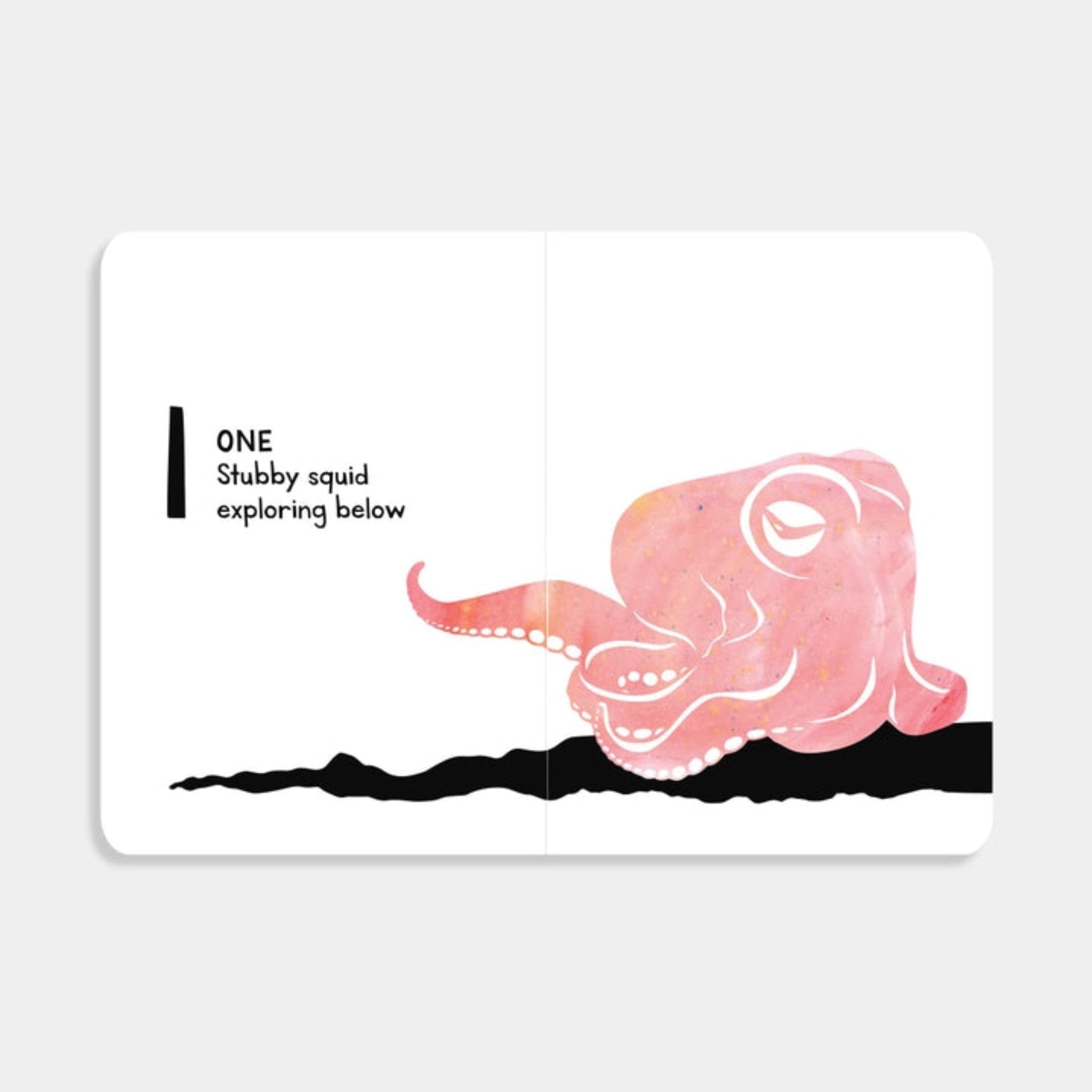 1,2,3 Salish Sea: A Counting Book for Toddlers - DIGS