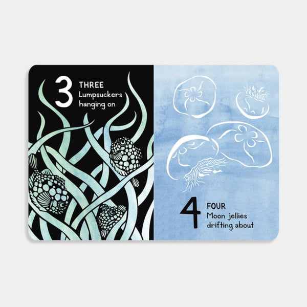 1,2,3 Salish Sea: A Counting Book for Toddlers - DIGS