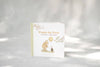Winnie-the-Pooh: Finding Feelings