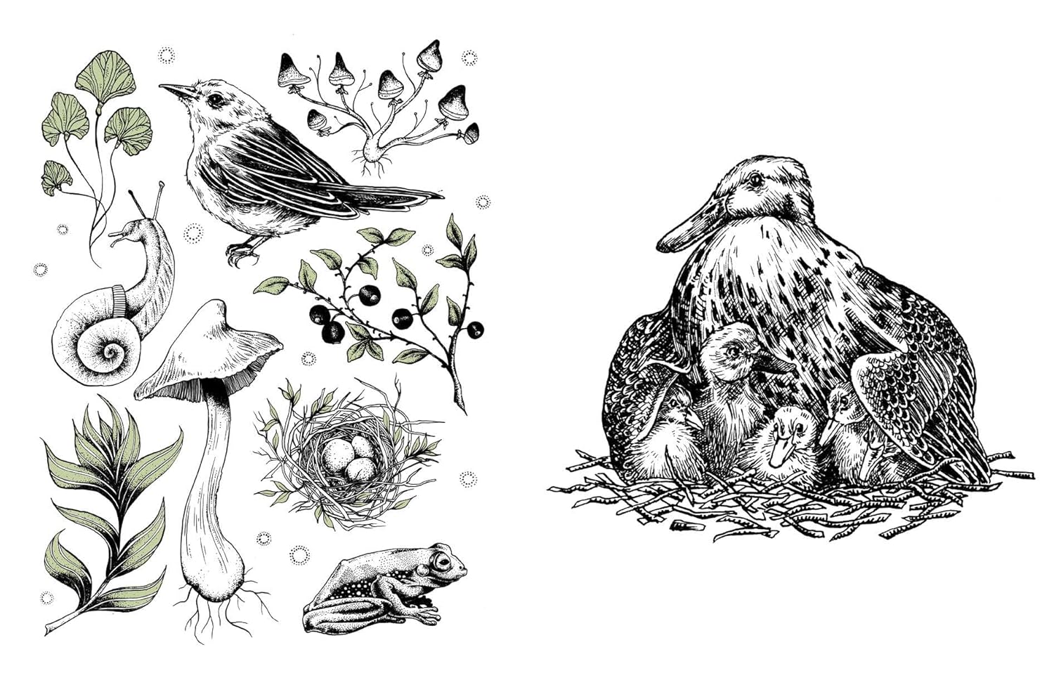 15 - minute Art: Pen and Ink - DIGS