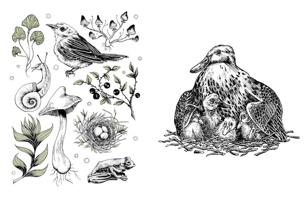 15 - minute Art: Pen and Ink - DIGS