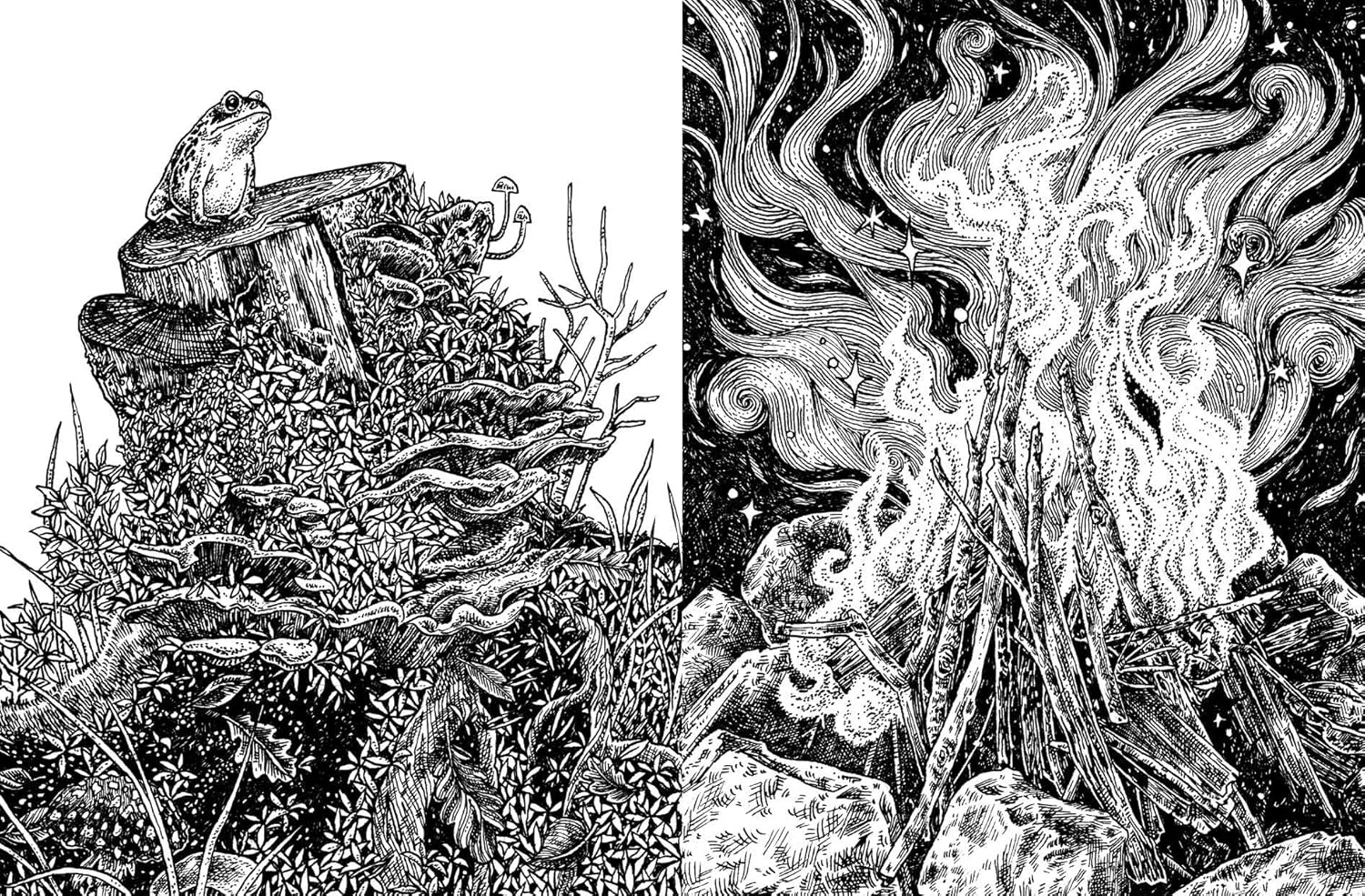 15 - minute Art: Pen and Ink - DIGS