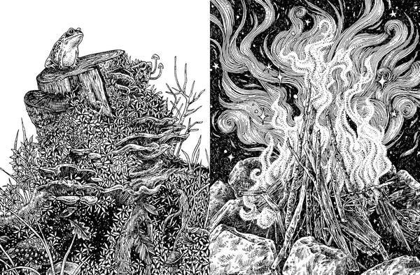 15 - minute Art: Pen and Ink - DIGS