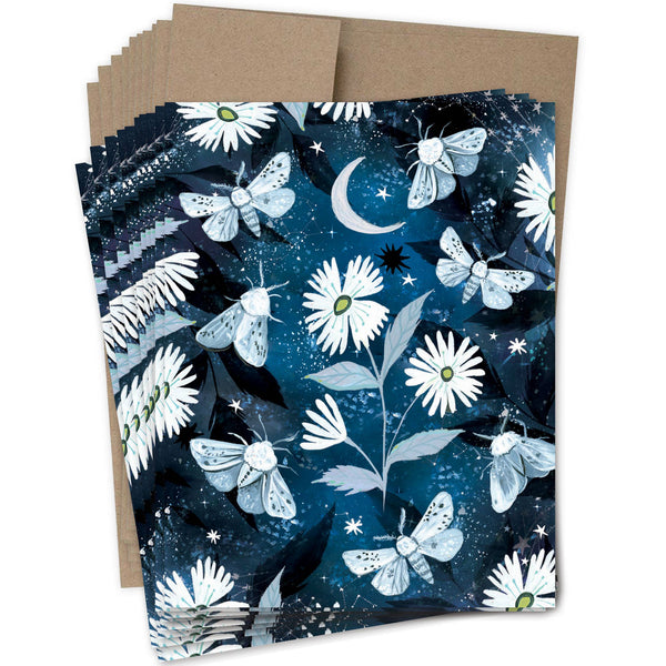 Moths Notecards Box Set