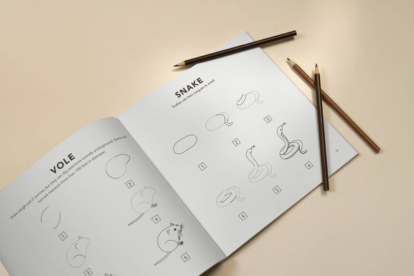 How to Draw Mushrooms & Woodland Creatures for Kids