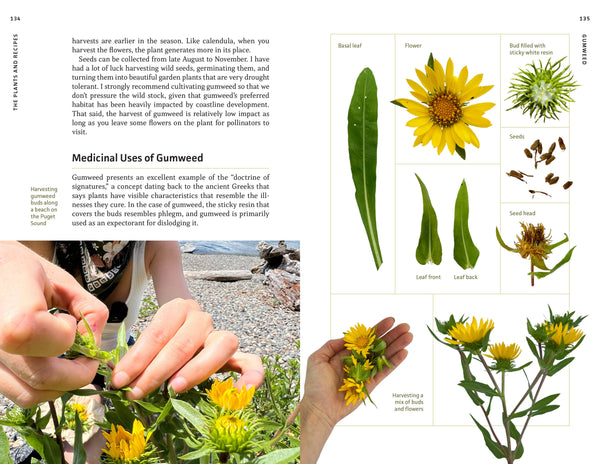 Medicinal Plants of the Pacific Northwest