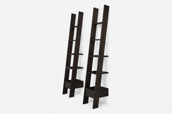217 Autoban Ladder Bookcase - DIGS