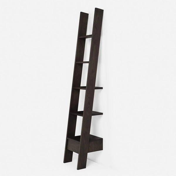 217 Autoban Ladder Bookcase - DIGS