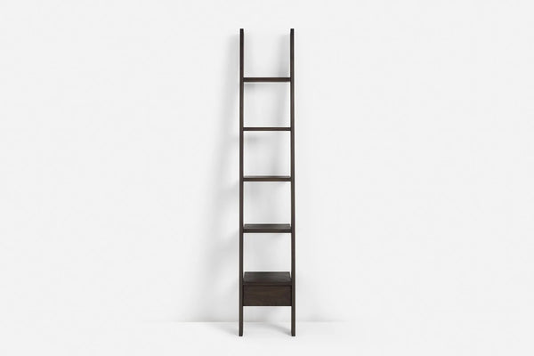 217 Autoban Ladder Bookcase - DIGS