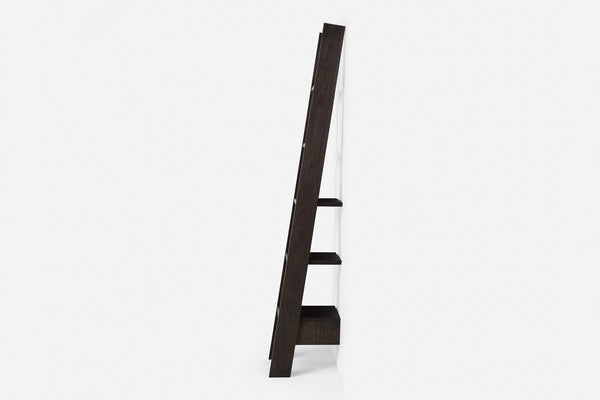 217 Autoban Ladder Bookcase - DIGS