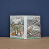 Owl Flight & Christmas Cottage Boxed Set of Cards