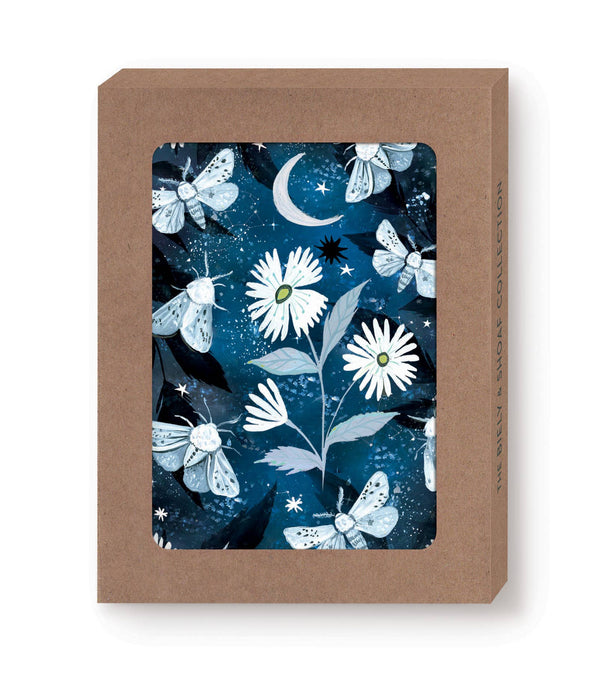 Moths Notecards Box Set