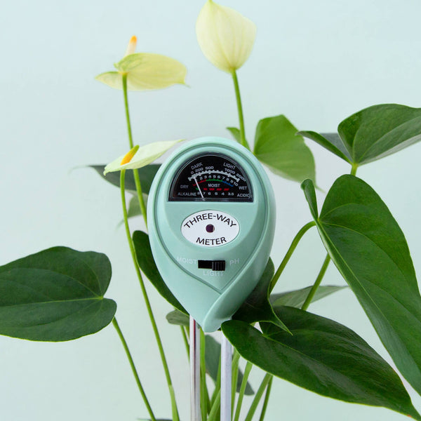 3 - in - 1 Moisture Meter: Lagoon - DIGS