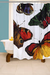 Metamorphosis Butterfly Shower Curtain