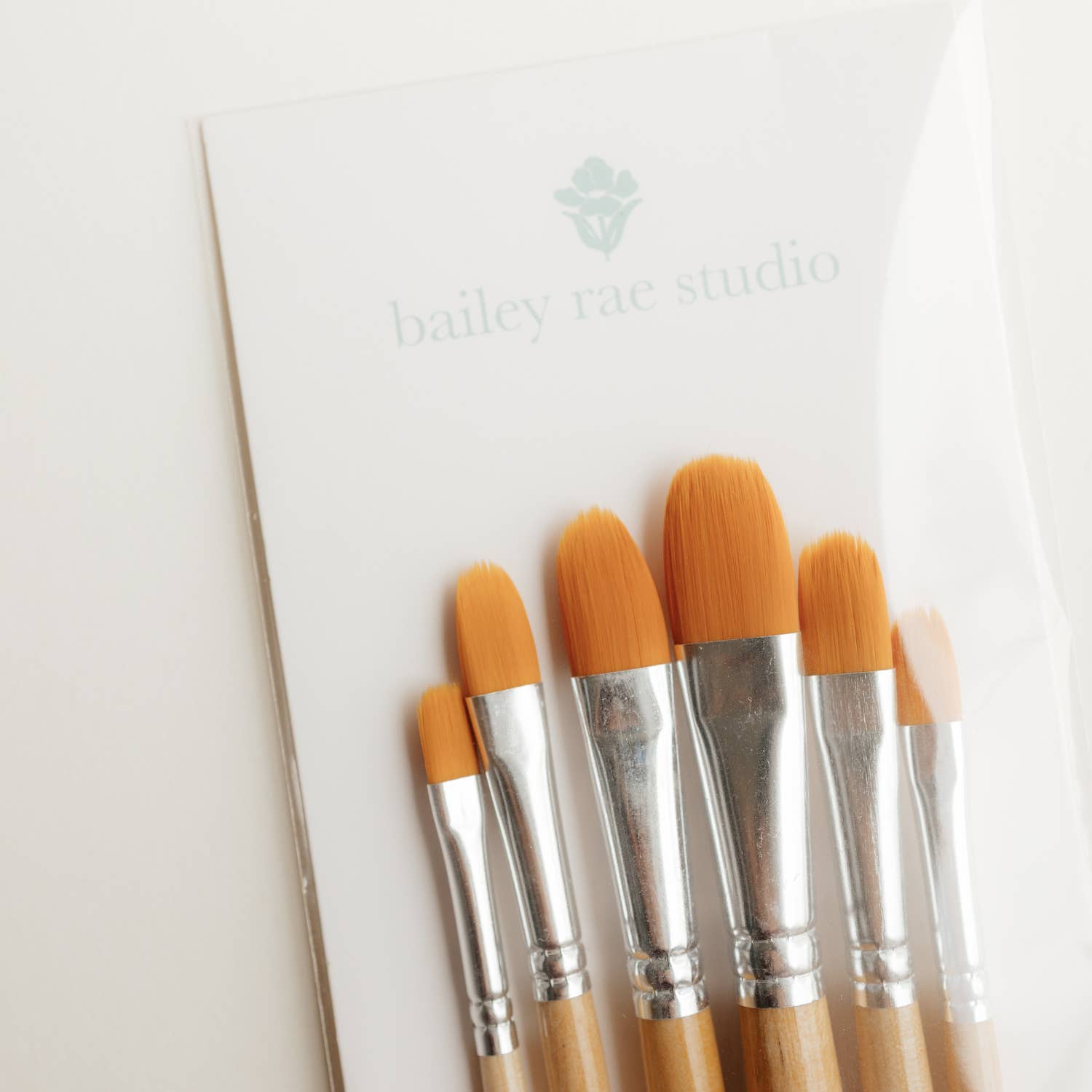 Filbert Watercolor Brush Set - 6pc
