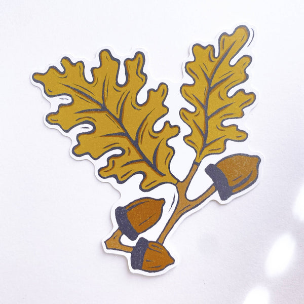 White Oak Acorn Sticker