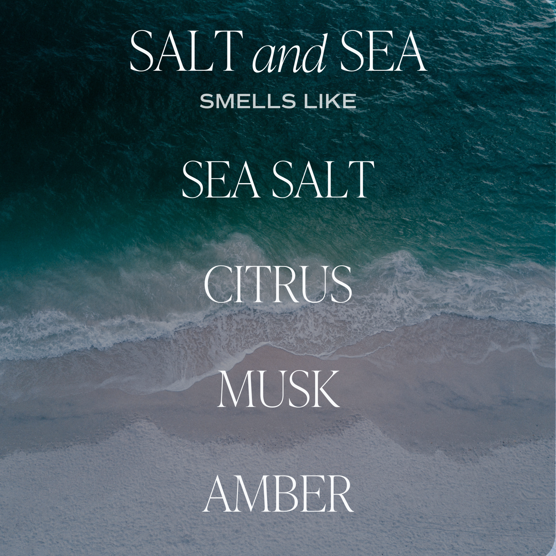 Salt & Sea Air Freshener