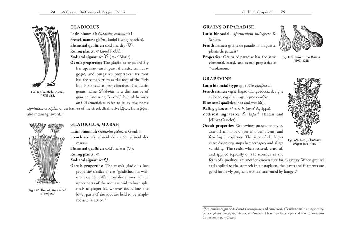 Occult Botany