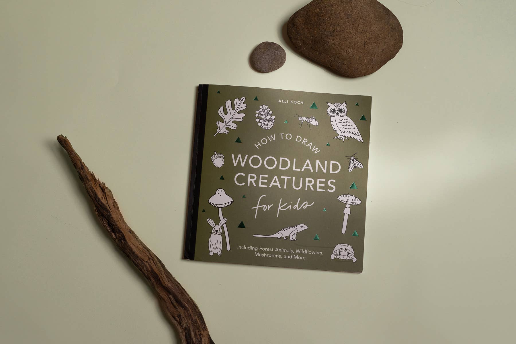 How to Draw Mushrooms & Woodland Creatures for Kids