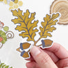 White Oak Acorn Sticker