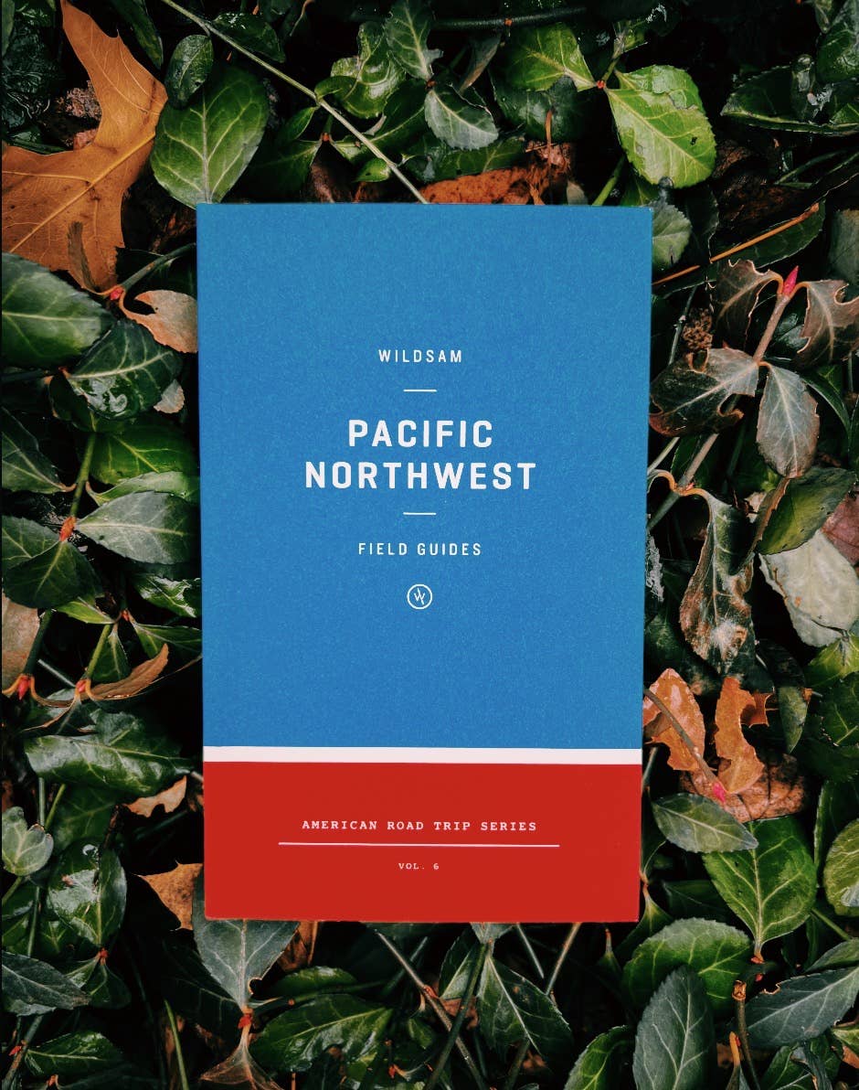 Pacific Northwest Road Trip Guide