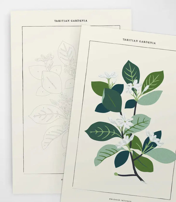 Modern Paint By Numbers Kit: Tahitian Botanical