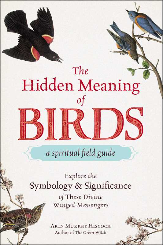 Hidden Meaning of Birds: A Spiritual Field Guide