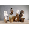 Hand Carved Barn Owl Ornament