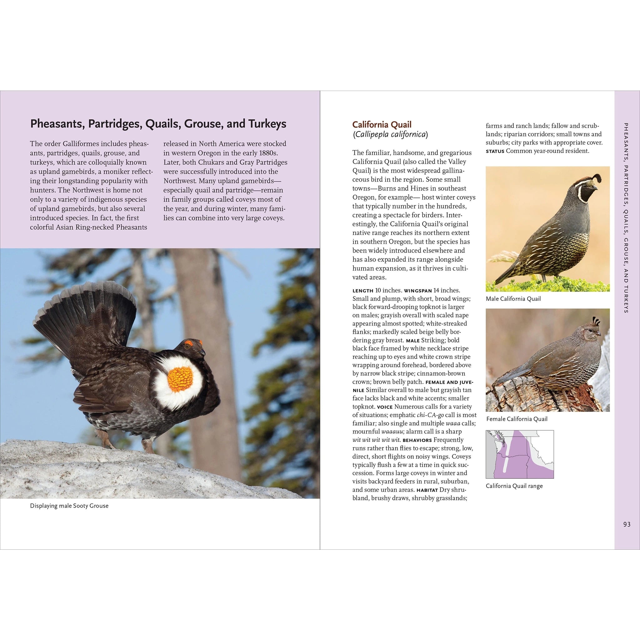 Birds of the Pacific Northwest