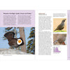 Birds of the Pacific Northwest