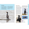 Birds of the Pacific Northwest