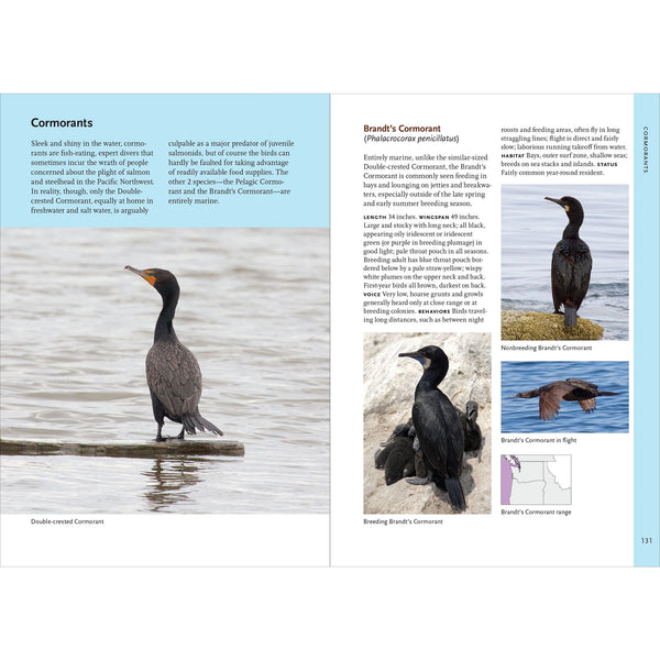 Birds of the Pacific Northwest
