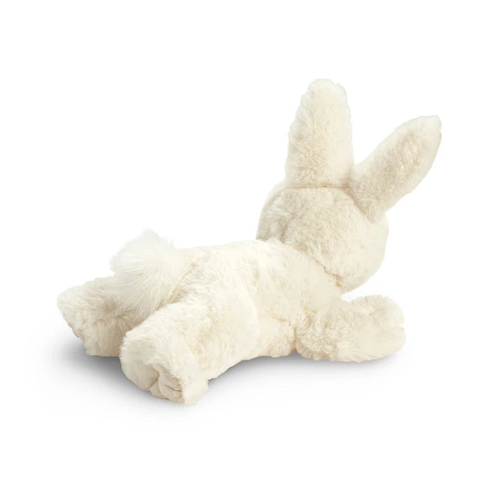 Bunny Plush: Companion to the Book 