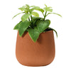 Engraved Terracotta Stoneware Planter