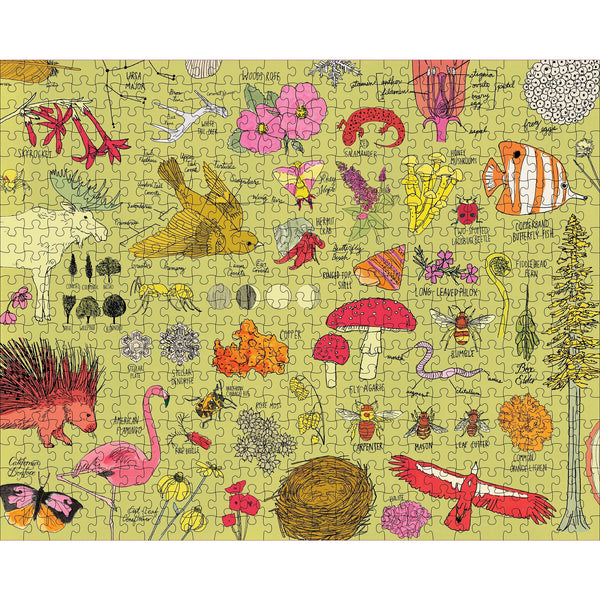Nature Anatomy: 500 Piece Puzzle
