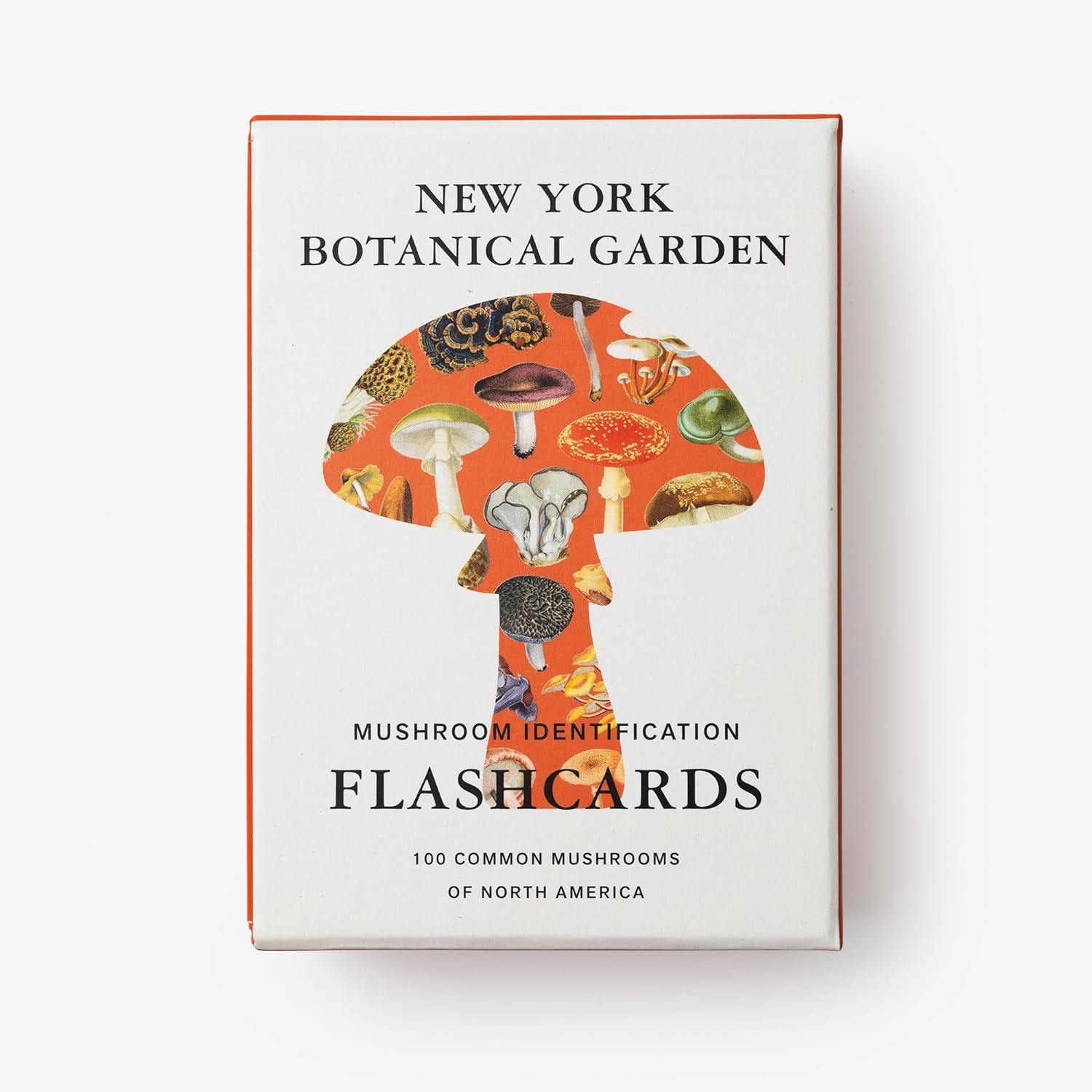 New York Botanical Garden Mushroom Identification Flashcards