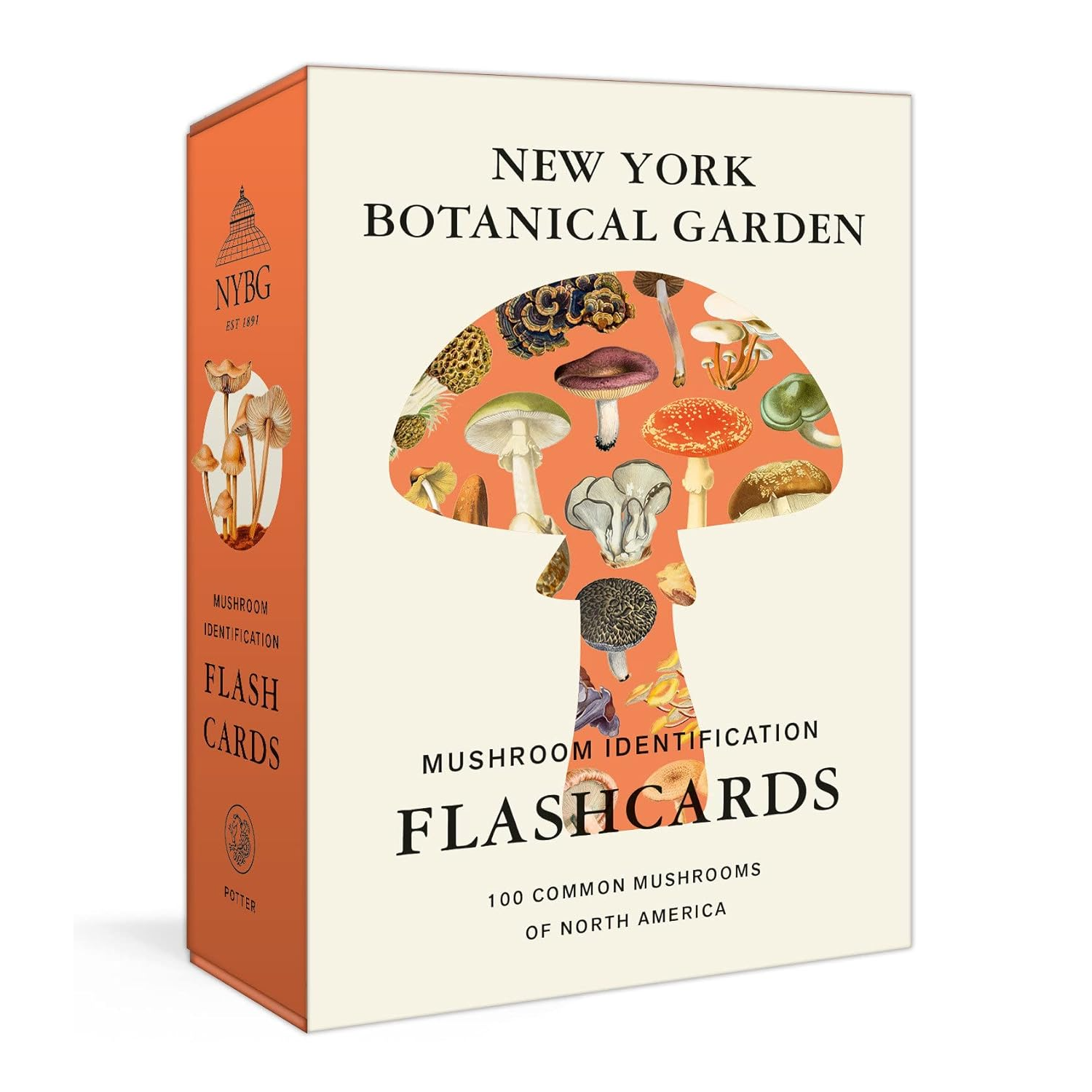 New York Botanical Garden Mushroom Identification Flashcards