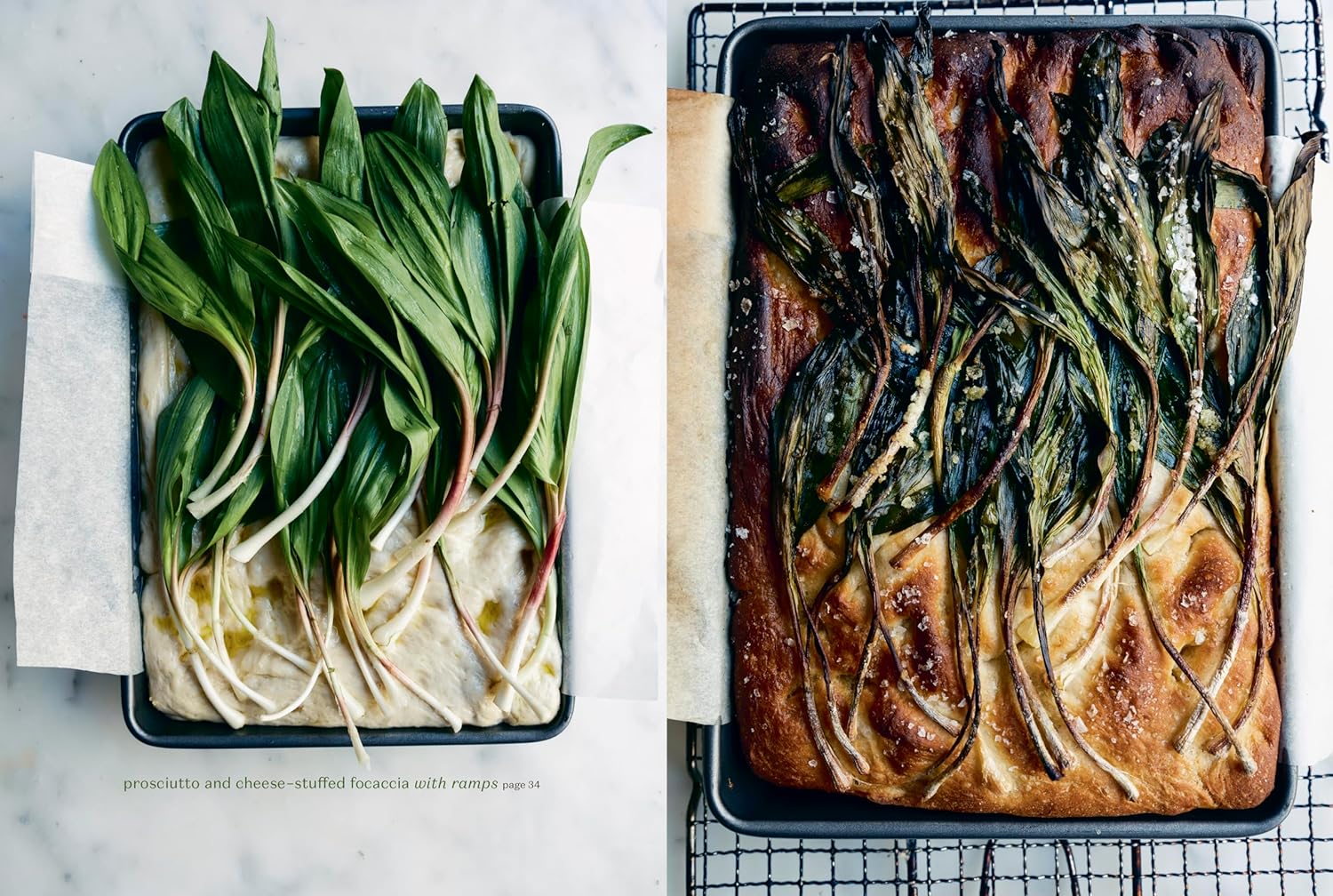 Rooted Kitchen: Seasonal Recipes, Stories, and Ways to Connect with the Natural World