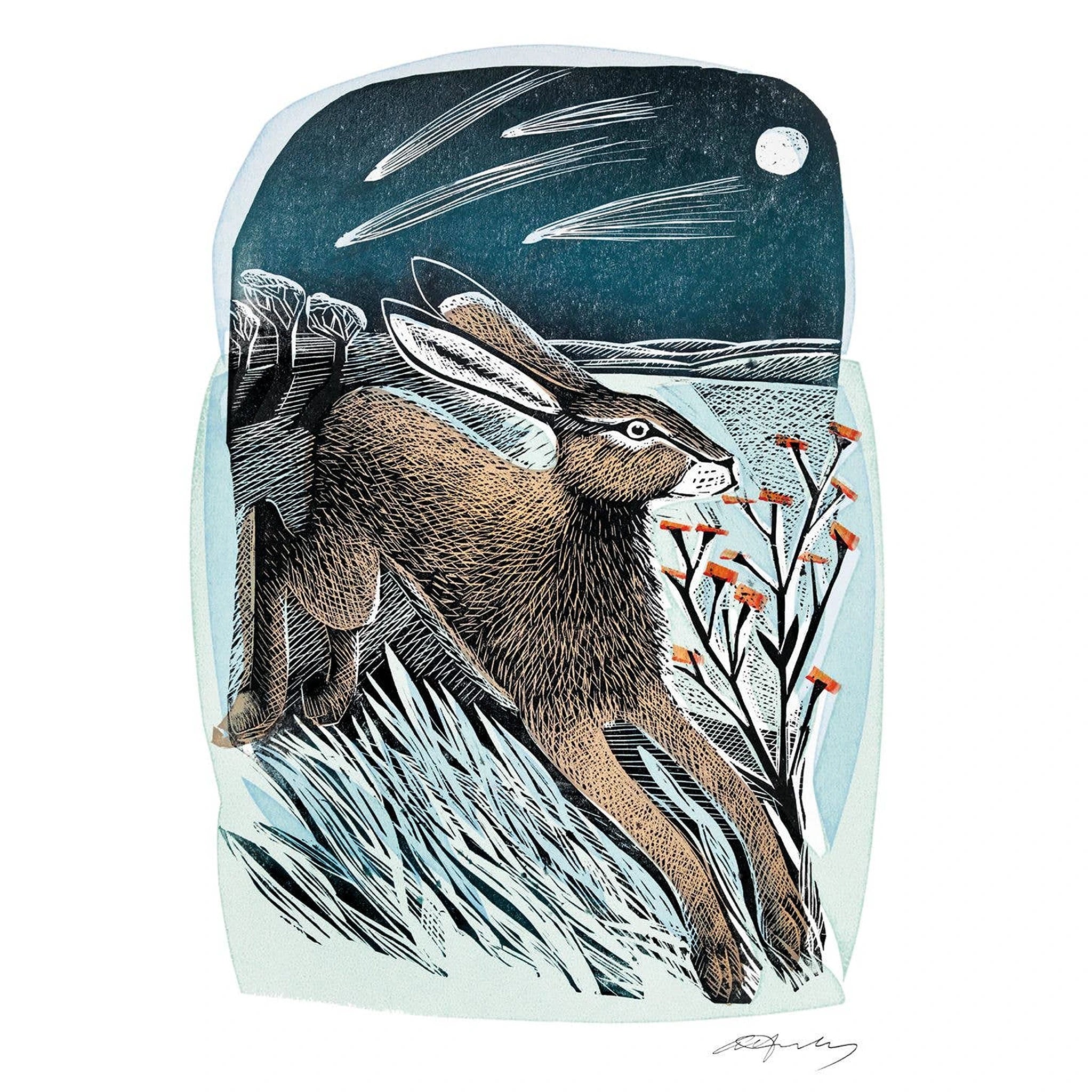 Shooting Stars Angela Harding Greeting Card