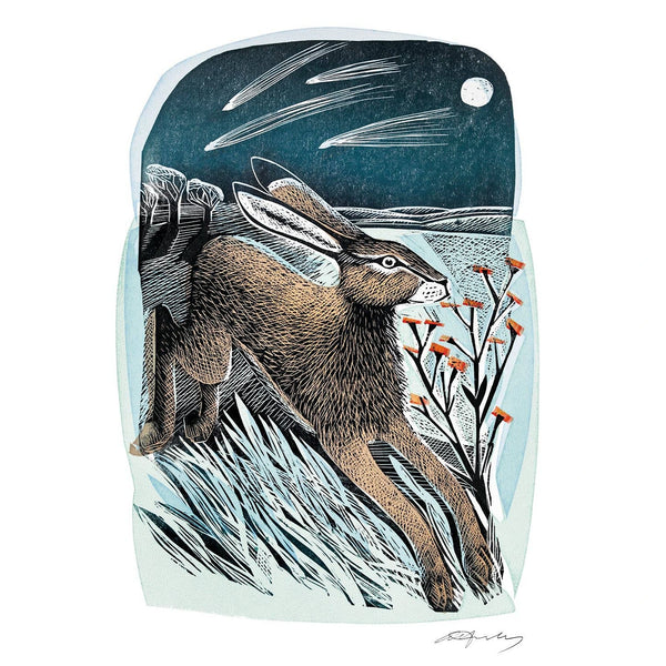Shooting Stars Angela Harding Greeting Card