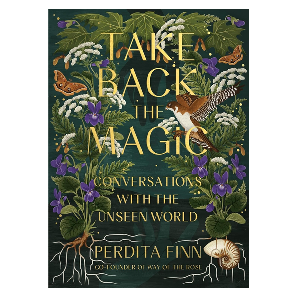 Take Back the Magic: Conversations with the Unseen World