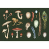 The Collector's Curio: A Sticker Treasury
